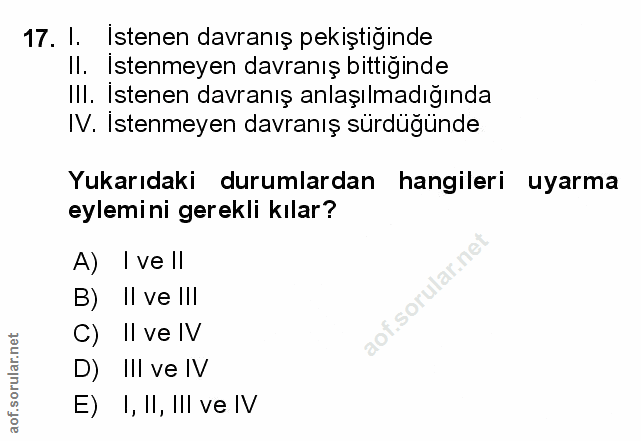 Soru 17