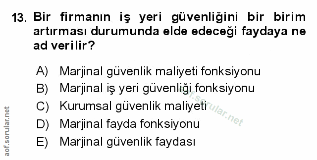 Soru 13