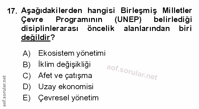 Soru 17