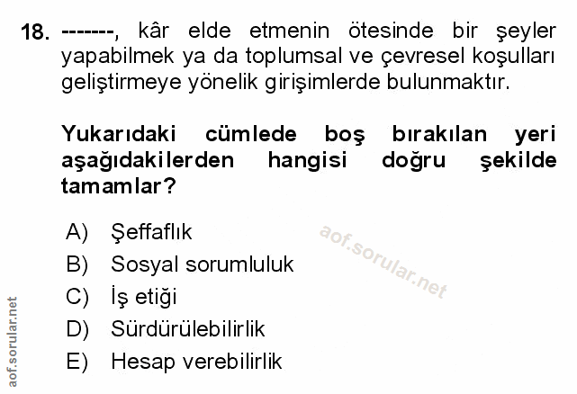 Soru 18