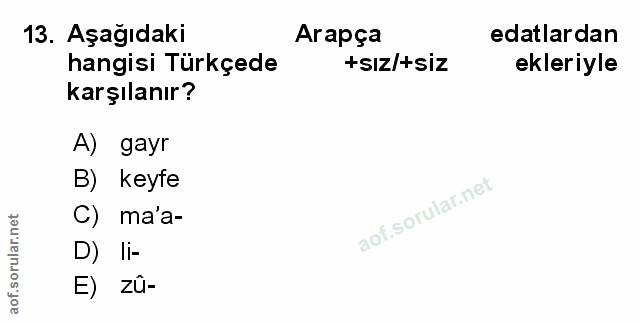 Soru 13