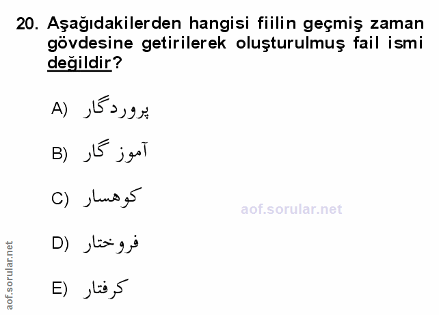 Soru 20