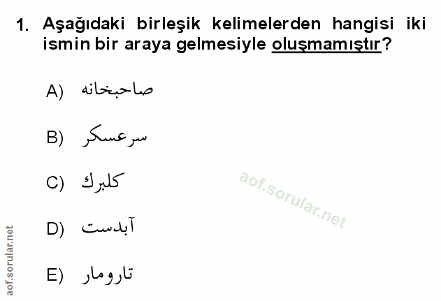 Soru 1