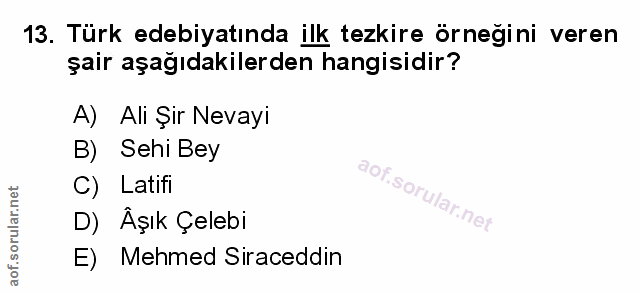 Soru 13