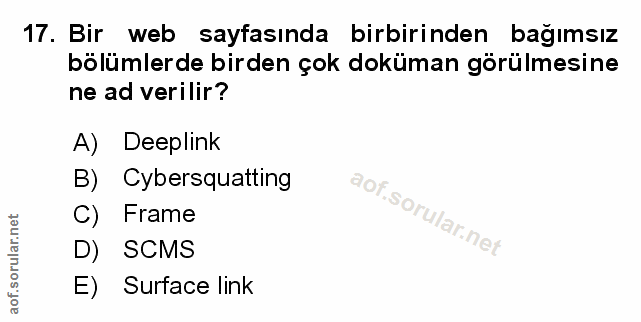 Soru 17