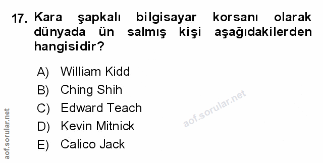 Soru 17