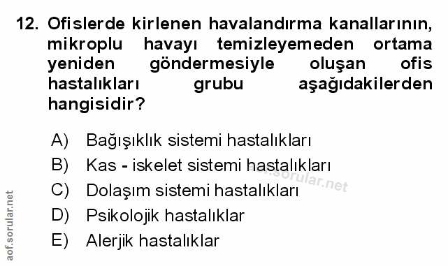 Soru 12