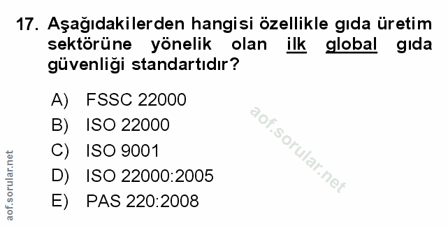 Soru 17