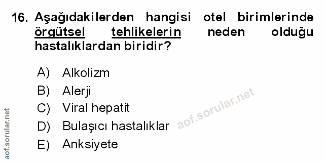 Soru 16