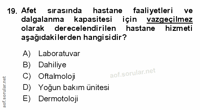 Soru 19