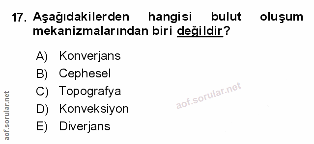 Soru 17
