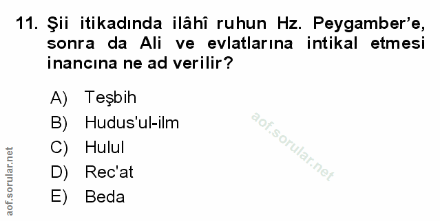 Soru 11