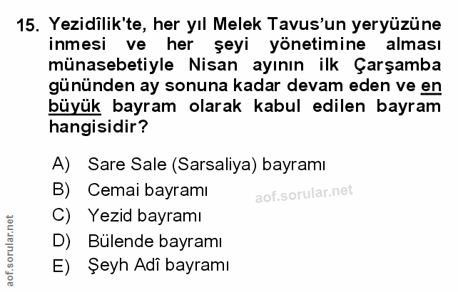 Soru 15