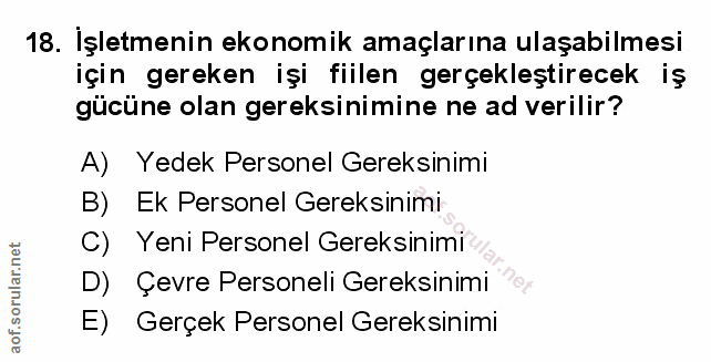 Soru 18