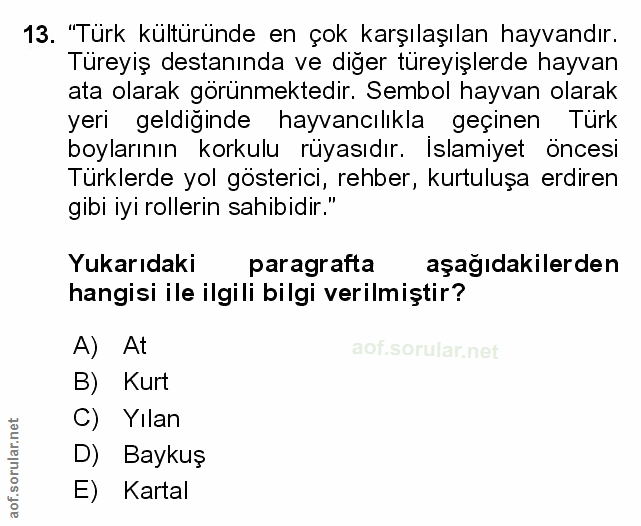 Soru 13