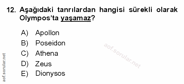 Soru 12