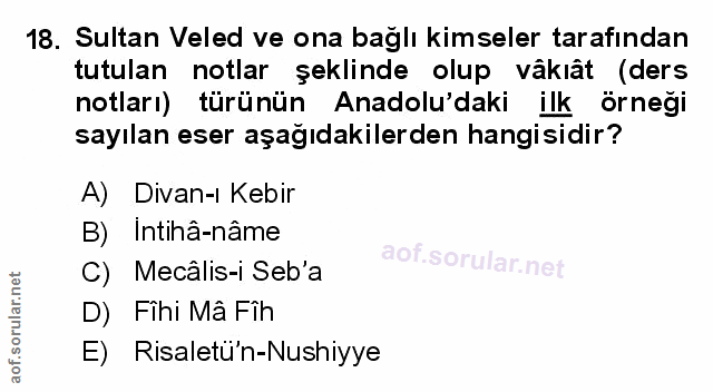 Soru 18