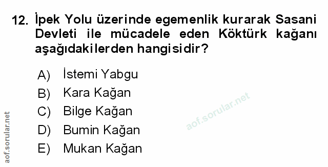 Soru 12