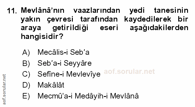 Soru 11
