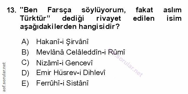 Soru 13