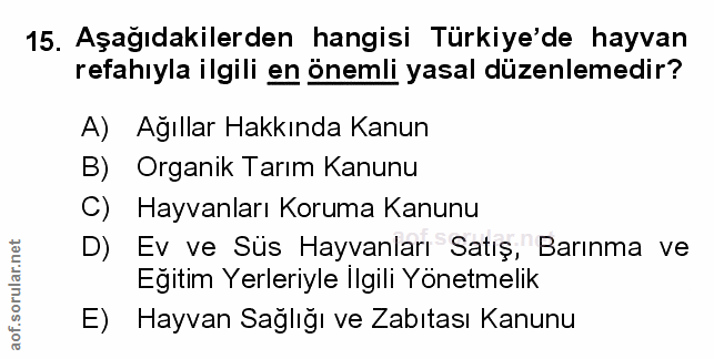 Soru 15