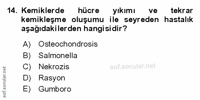 Soru 14