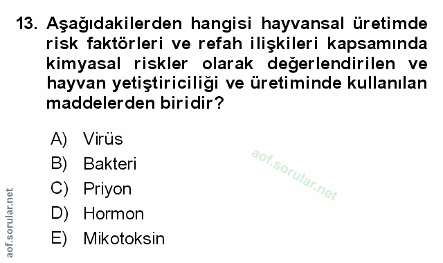 Soru 13