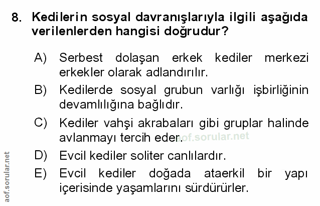 Soru 8