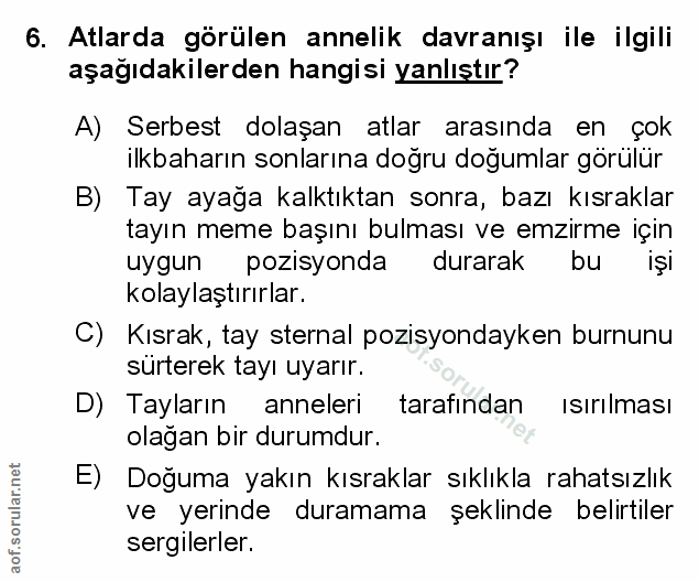 Soru 6