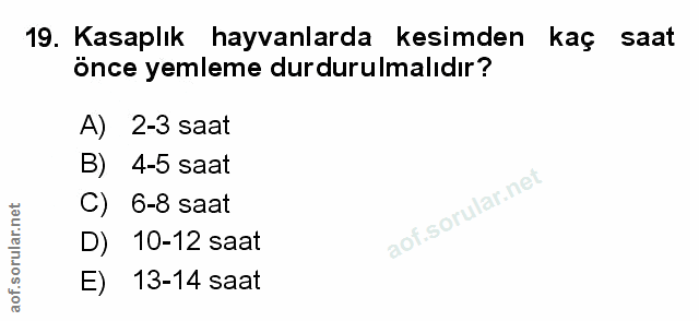 Soru 19