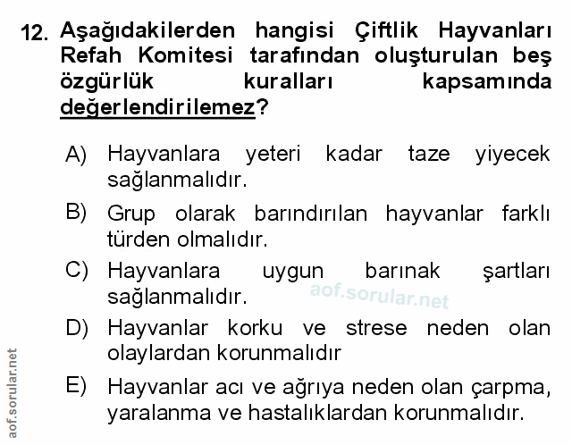 Soru 12