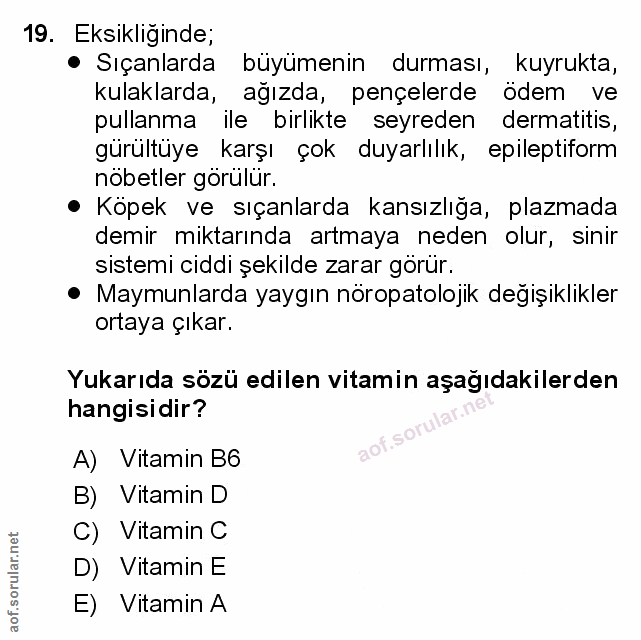 Soru 19