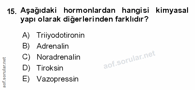 Soru 15
