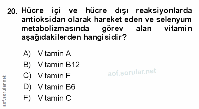 Soru 20