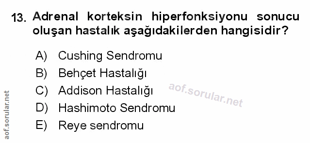 Soru 13