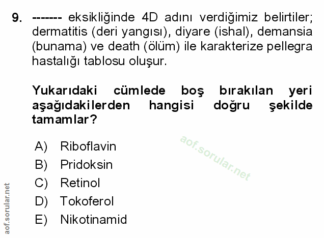 Soru 9