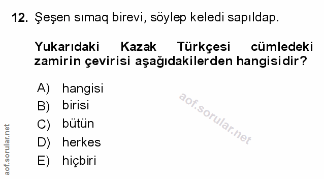 Soru 12