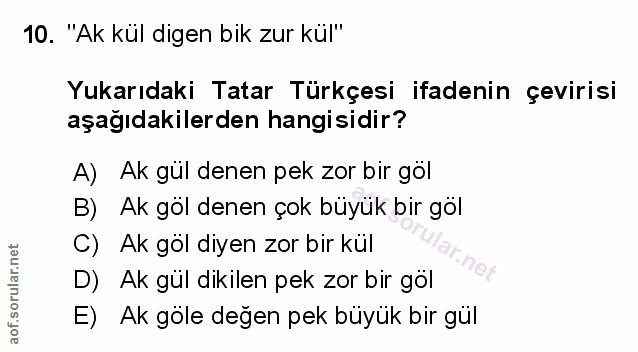 Soru 10