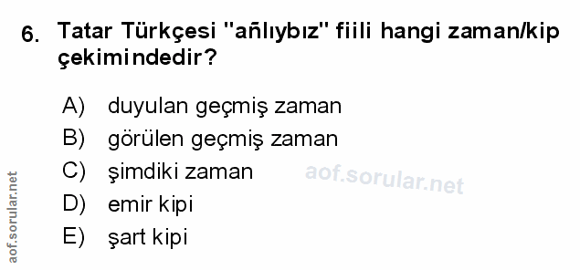 Soru 6