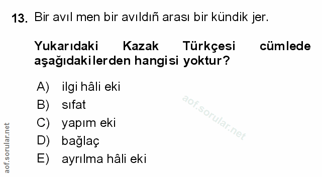Soru 13