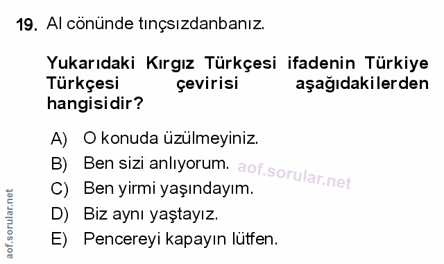 Soru 19