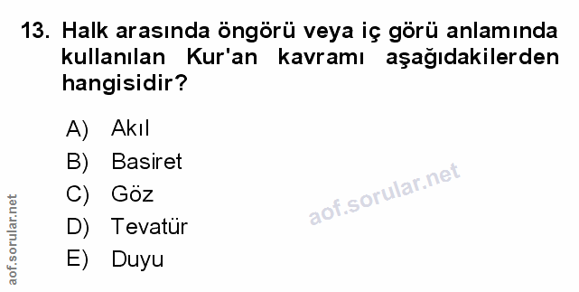 Soru 13