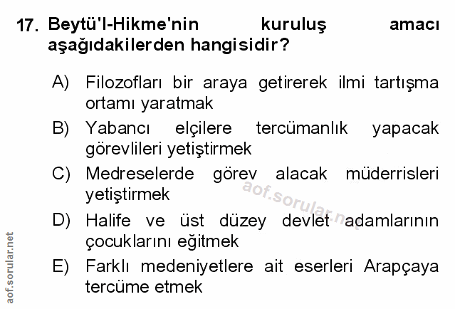 Soru 17