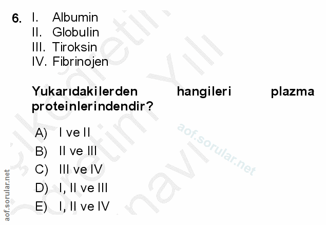 Soru 6