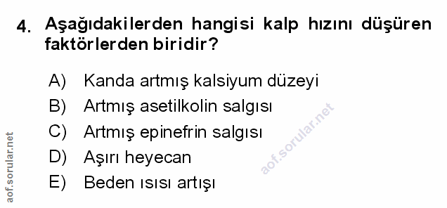 Soru 4