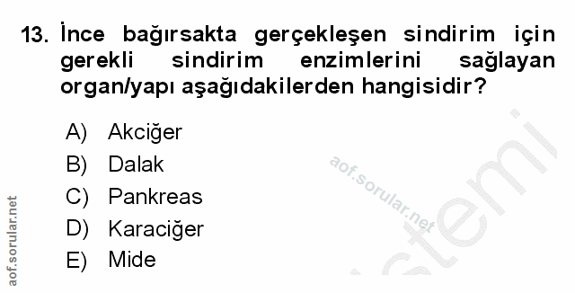 Soru 13