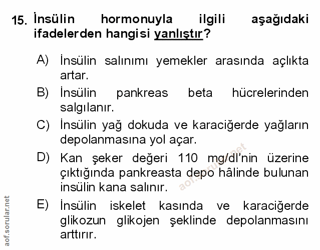 Soru 15