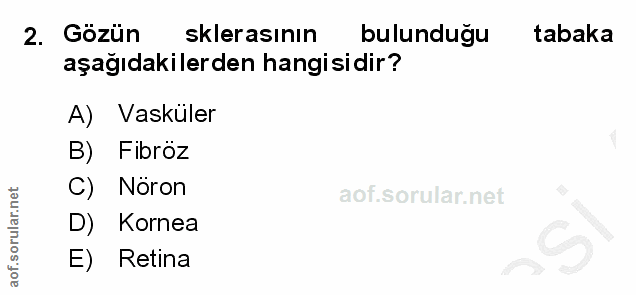Soru 2