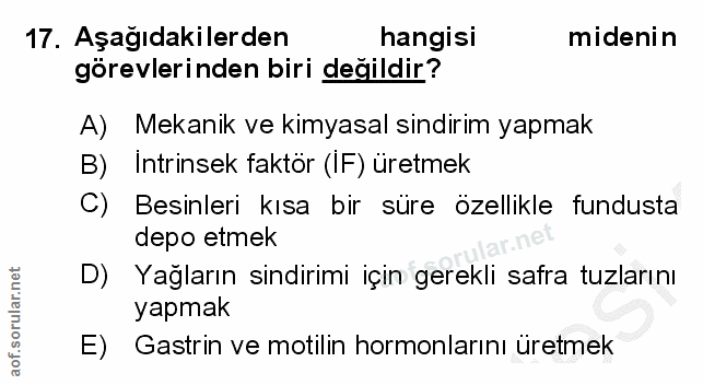 Soru 17