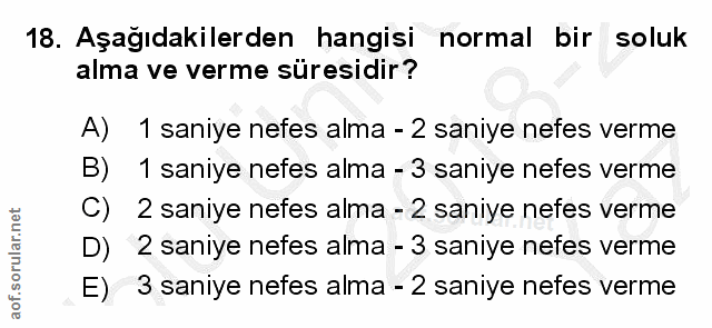 Soru 18
